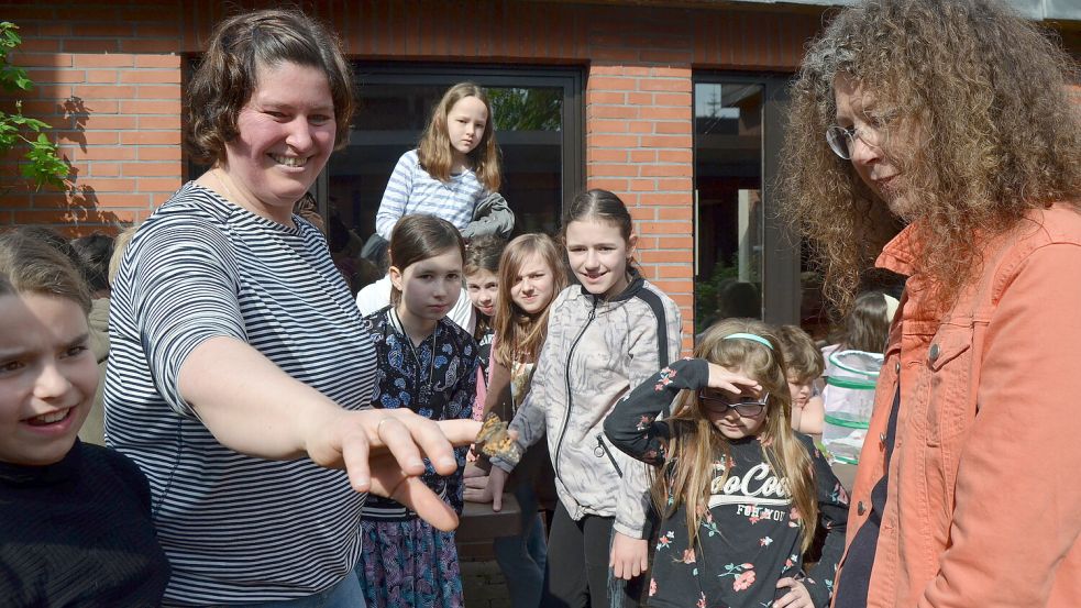 Naturprojekt In Str Cklingen Kinder Werden Zu Schmetterlingsexperten