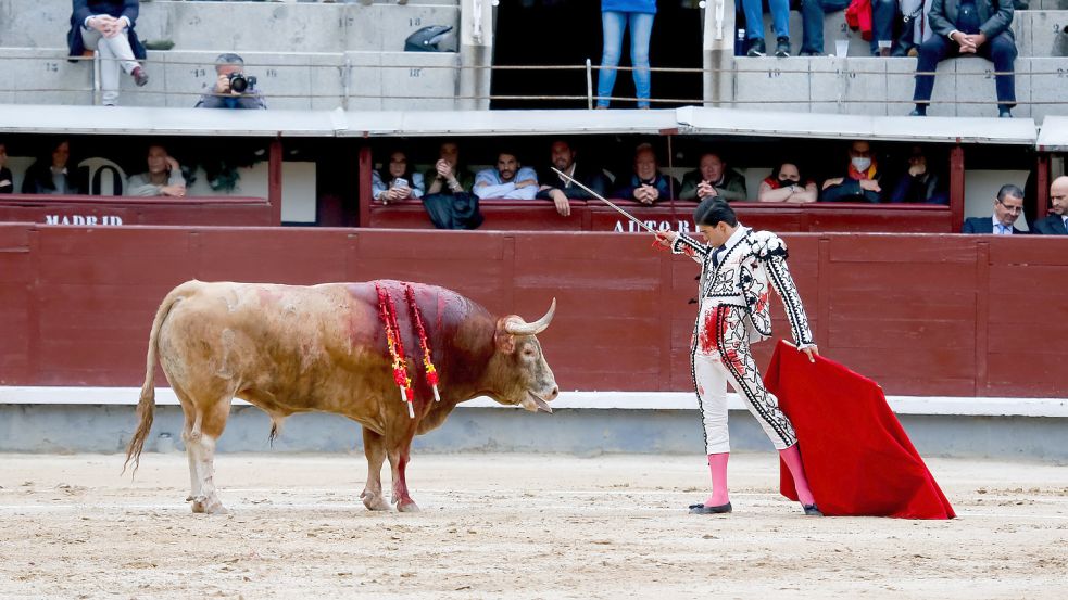 Madrid Stierkampf in Spanien So kämpfen Züchter und Toreros gegen das