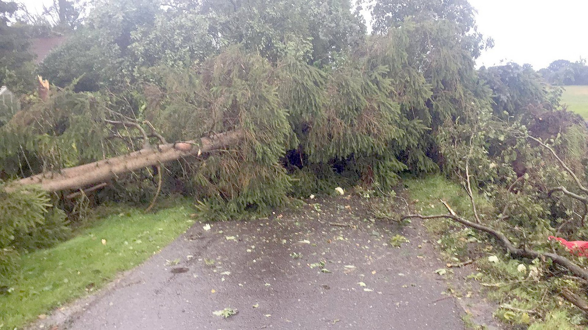 Tornado fegt über Ostfriesland - Bild 20