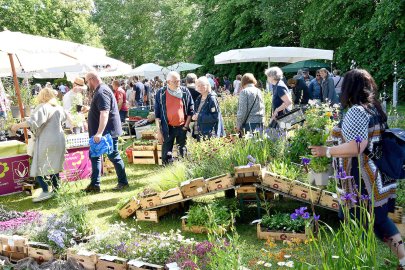 Burggarten Stickhausen - Bild 5