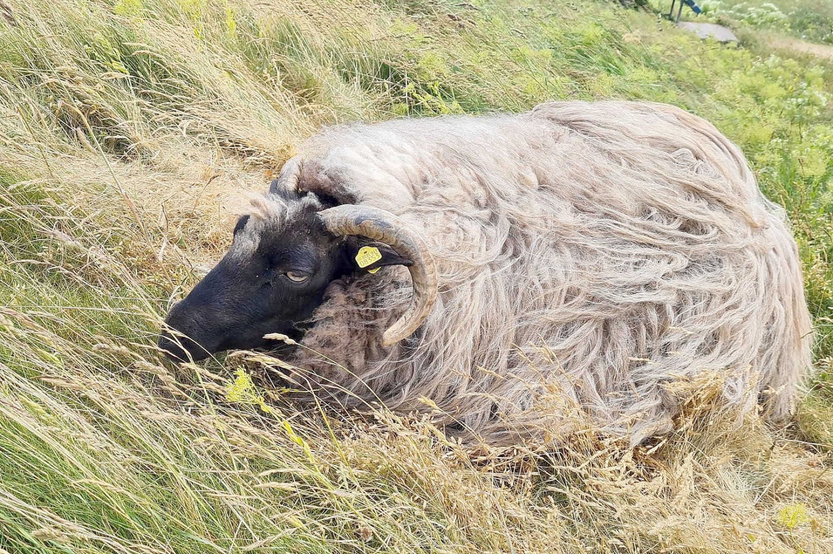 Helgoland mit Kindern erleben - Bild 10