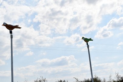 Das war das Ostrhauderfehner Schützenfest 2022 - Bild 9