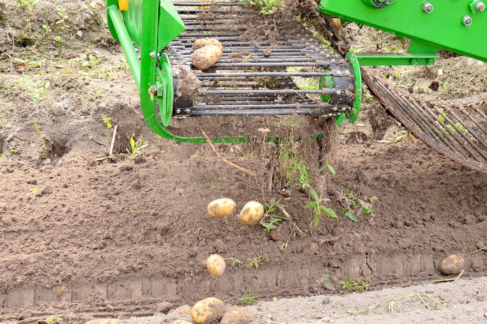 Kartoffelerntefest in Jübberde - Bild 12