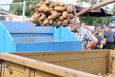 Kartoffelerntefest in Jübberde - Bild 14