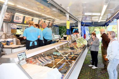 Samtgemeindefest in Holtland  - Bild 3