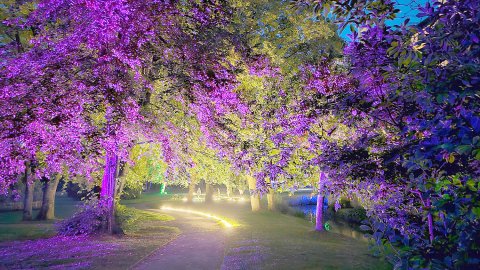 Lüch un Spööl im Leeraner Evenburg-Park - Bild 21