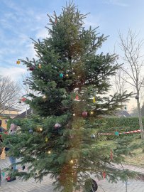 Weihnachtsmarkt Ihrhove gut besucht - Bild 15