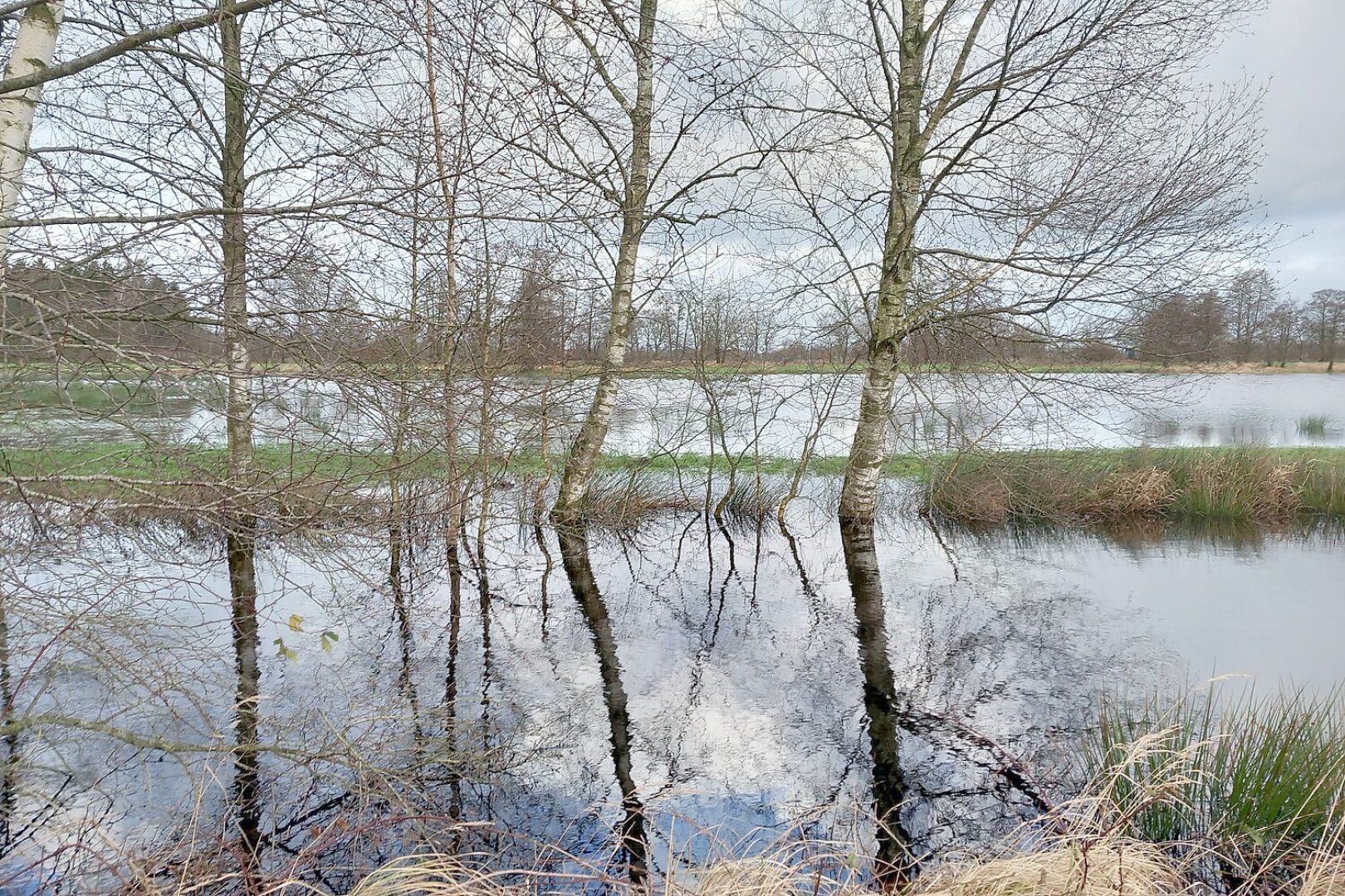 Hochwasser in Langholt - Bild 8