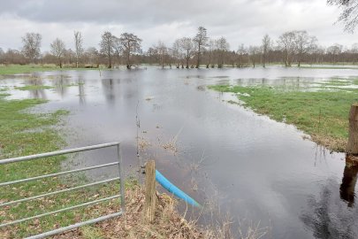 Hochwasser in Langholt - Bild 10