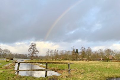 Hochwasser in Langholt - Bild 14