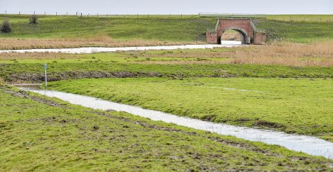 Wasserstände: Fotos aus dem Kreis Leer - Bild 9