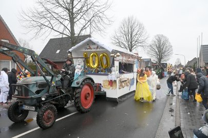 Papenburger Narren trotzen dem Nieselregen - Bild 3