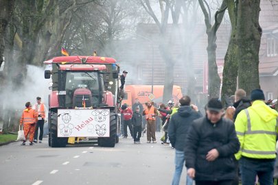 Papenburger Narren trotzen dem Nieselregen - Bild 8