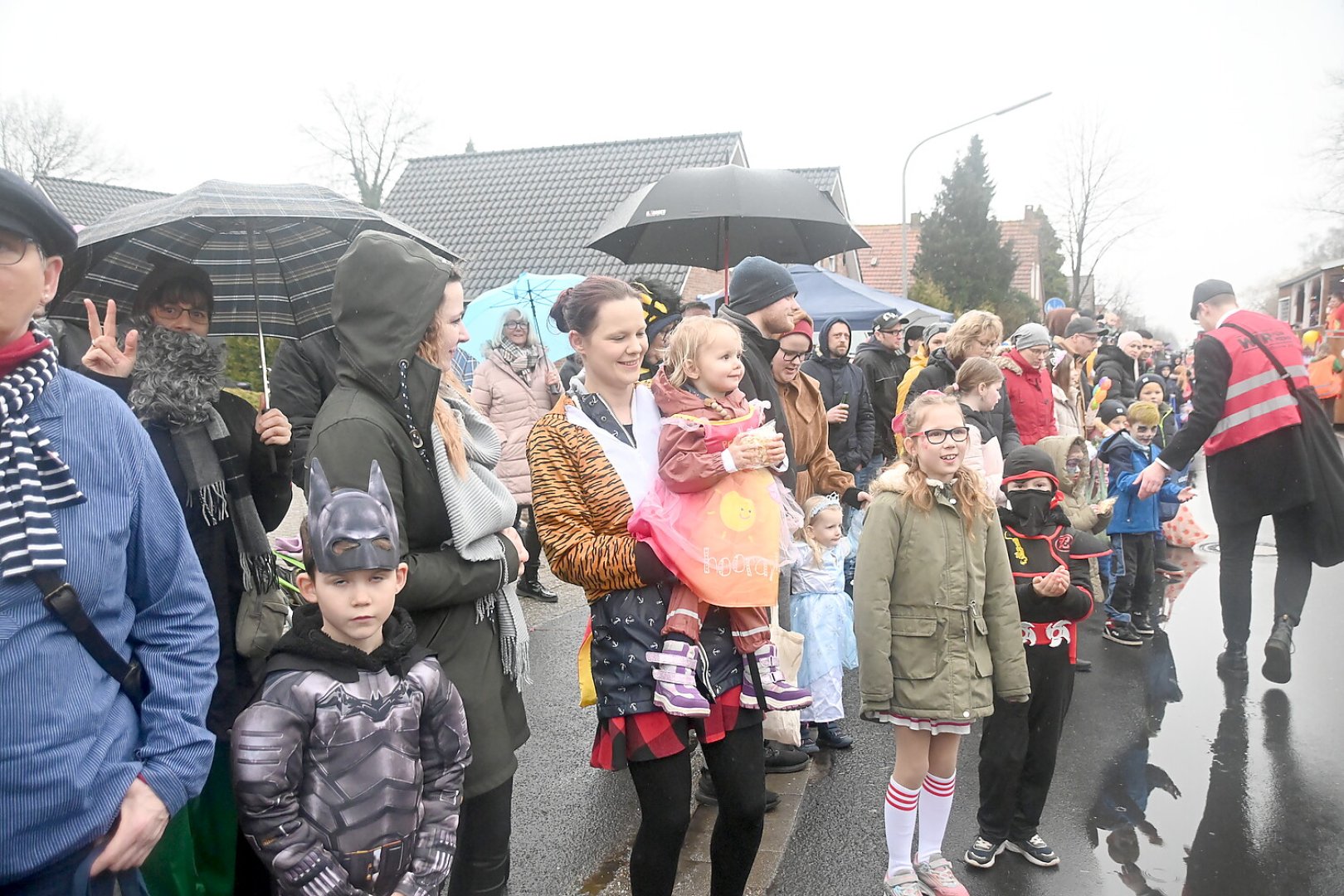 Papenburger Narren trotzen dem Nieselregen - Bild 43