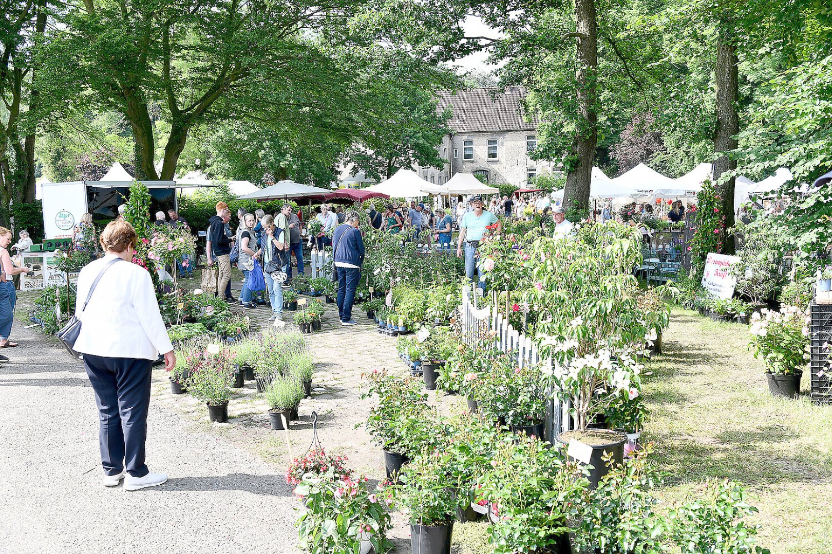 Burggarten Stickhausen lockt viele Gäste - Bild 1