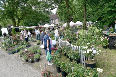 Burggarten Stickhausen lockt viele Gäste - Bild 3