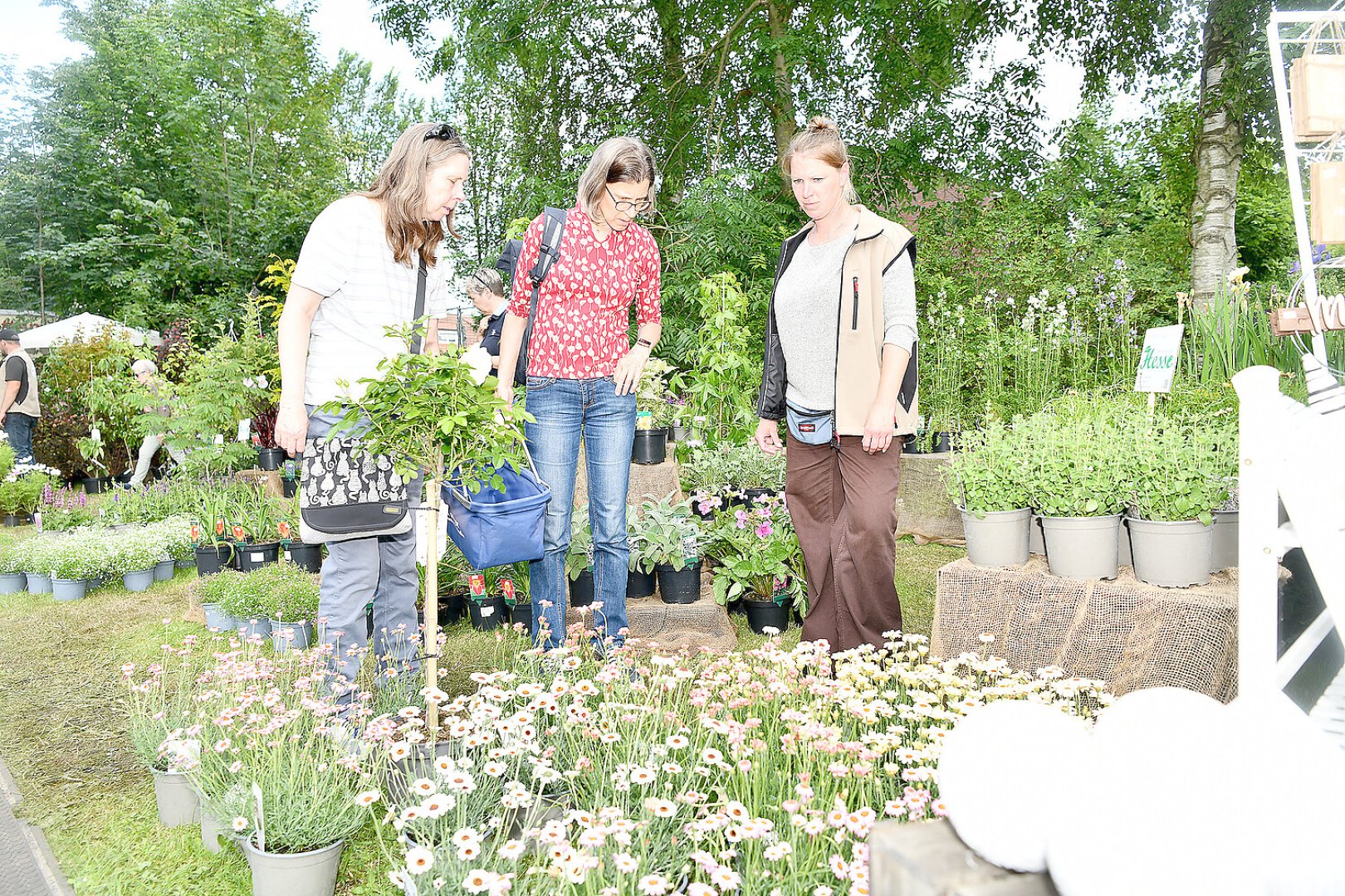 Burggarten Stickhausen lockt viele Gäste - Bild 6