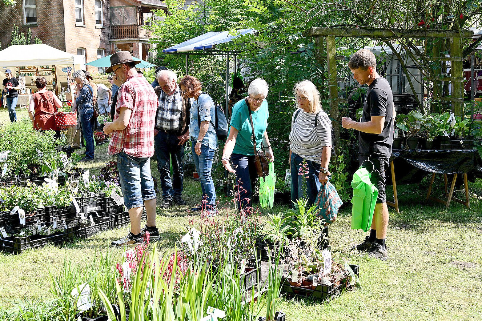 Burggarten Stickhausen lockt viele Gäste - Bild 21