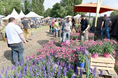 Burggarten Stickhausen lockt viele Gäste - Bild 36