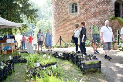 Burggarten Stickhausen lockt viele Gäste - Bild 46