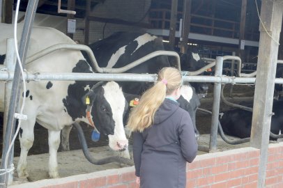 Tag des offenen Hofes bei Cordes - Bild 3