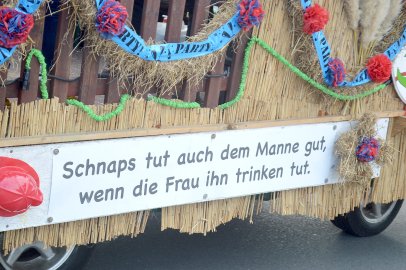 Die schönsten Bilder von der Löschparade - Bild 15