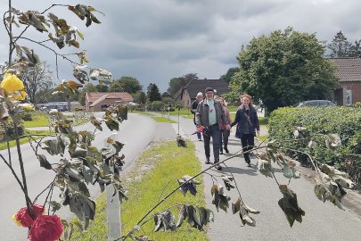 Weinwanderung in Langholt - Bild 16