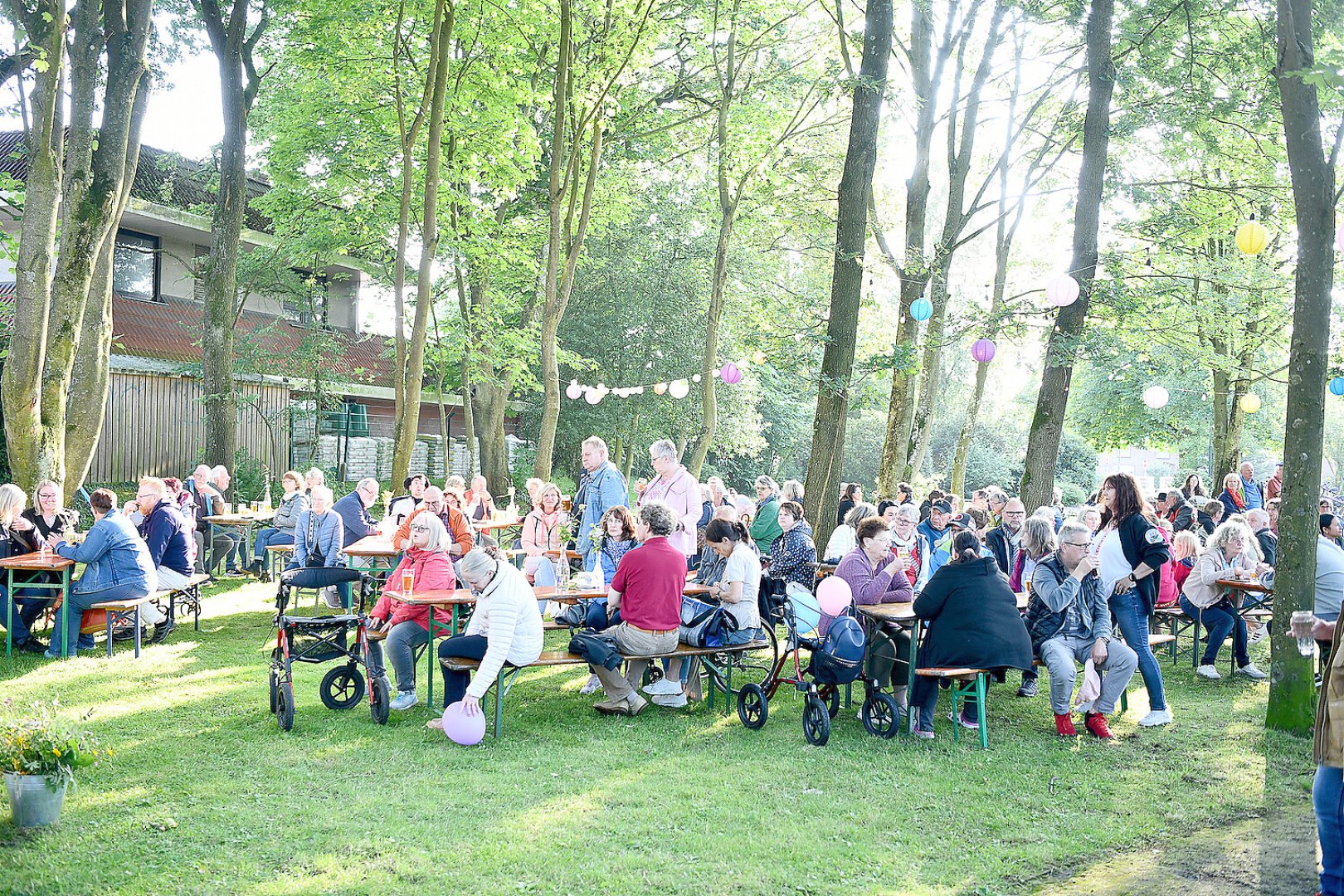 Mittsommerfest in Hesel - Bild 6