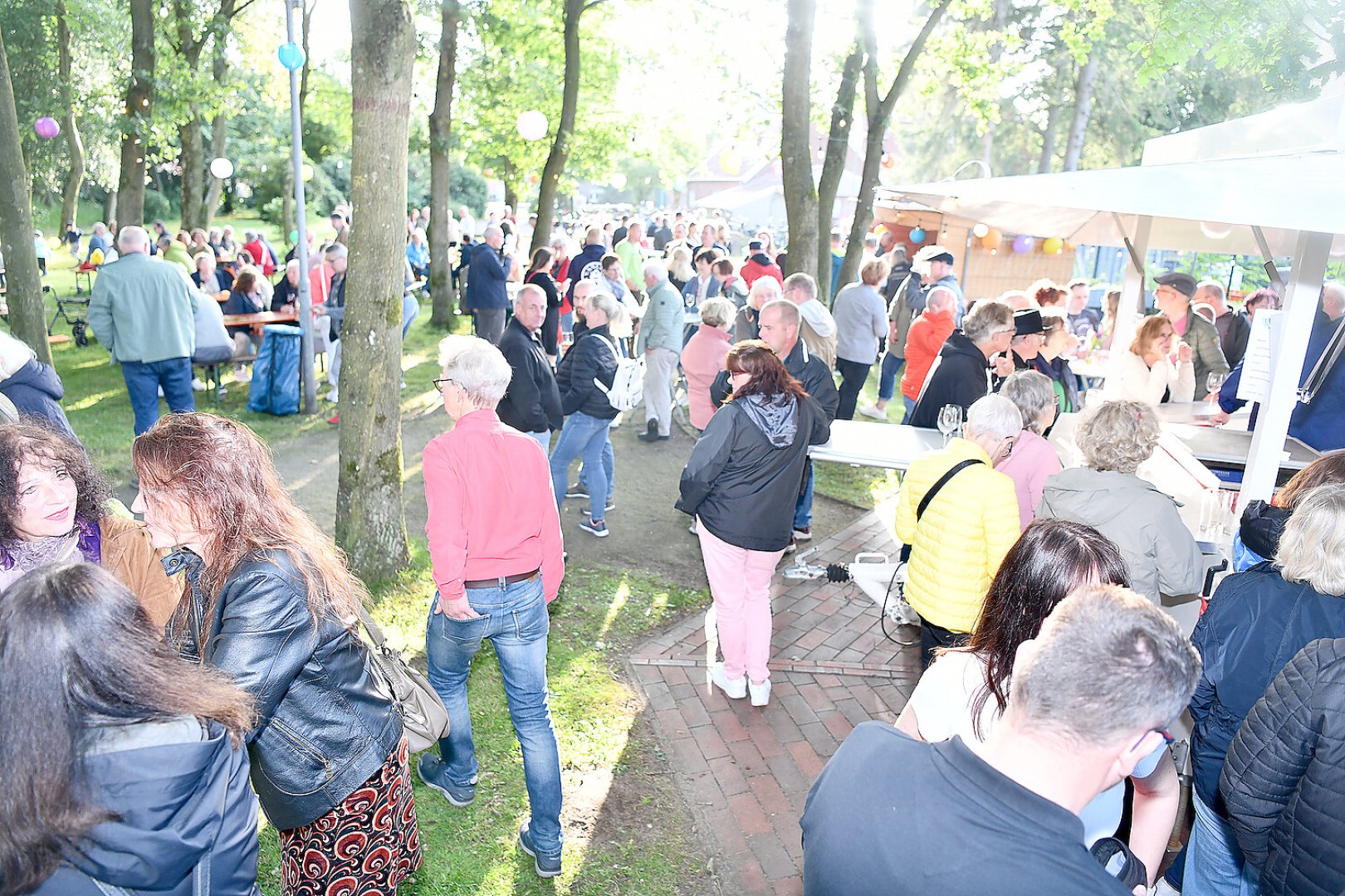 Mittsommerfest in Hesel - Bild 9