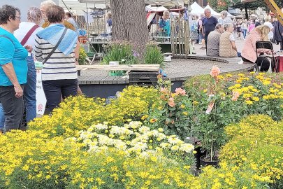 Töpfermarkt in Leer lockte viele Besucher  - Bild 3