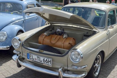 Oldtimer-Treffen in Rhauderfehn - Bild 70