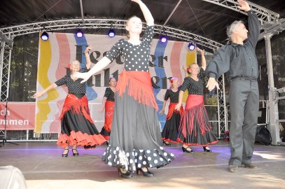 Die schönsten Bilder vom Fest der Kulturen in Leer - Bild 21