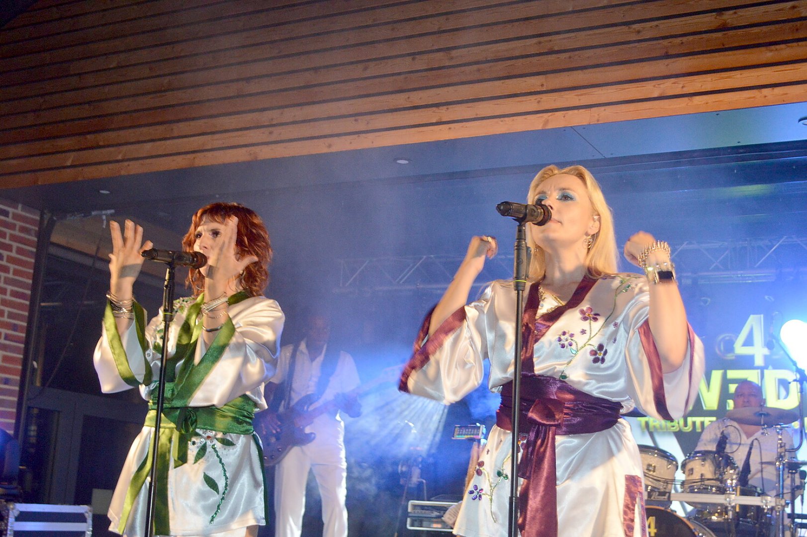 Abba Party - Bild 19