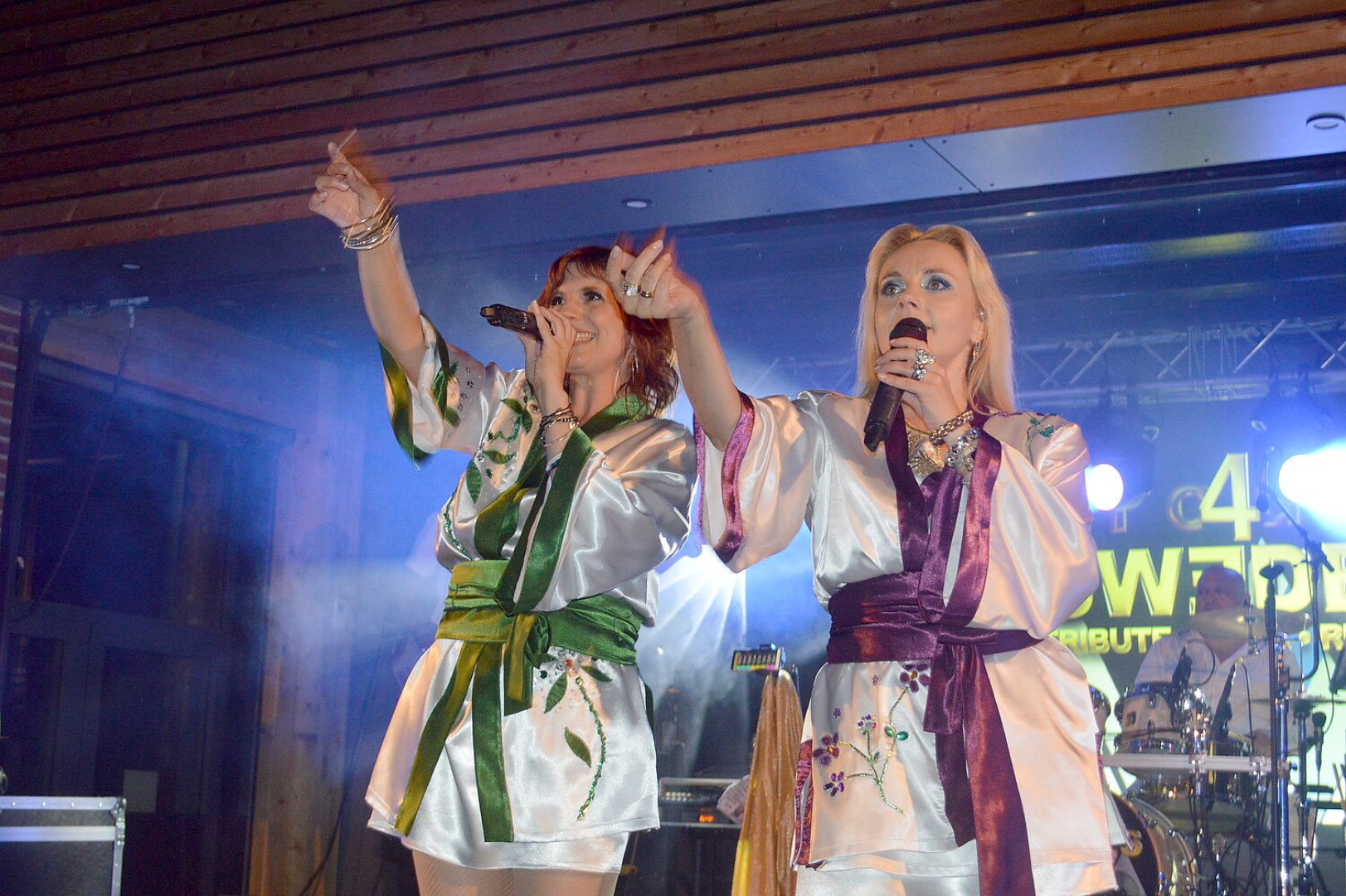 Abba Party - Bild 22