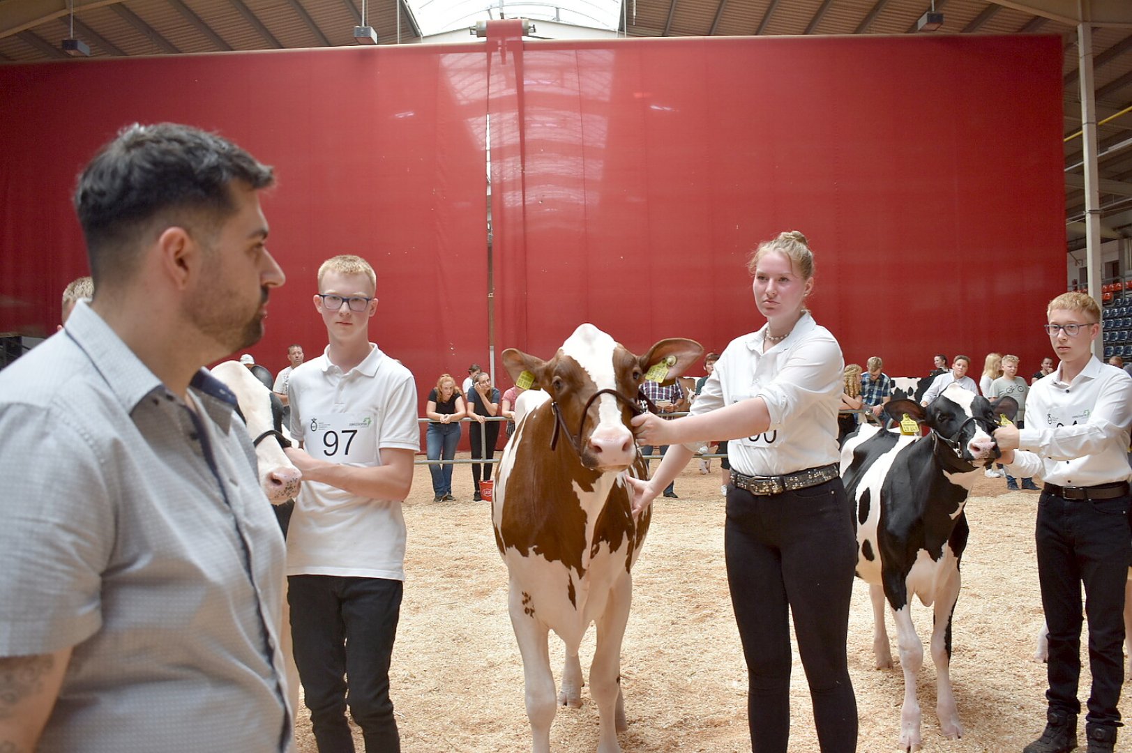 Jungzüchterwettbewerb Leer - Bild 12