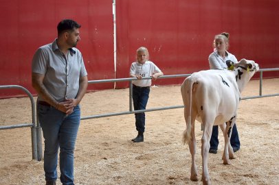 Jungzüchterwettbewerb Leer - Bild 23