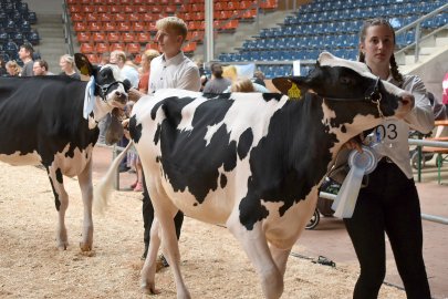 Jungzüchterwettbewerb Leer - Bild 39