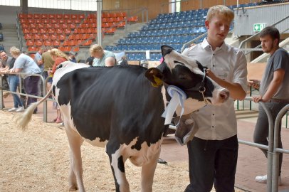 Jungzüchterwettbewerb Leer - Bild 40