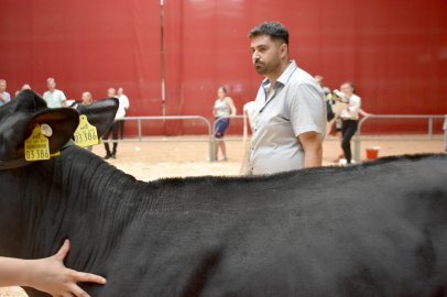 Jungzüchterwettbewerb Leer - Bild 56