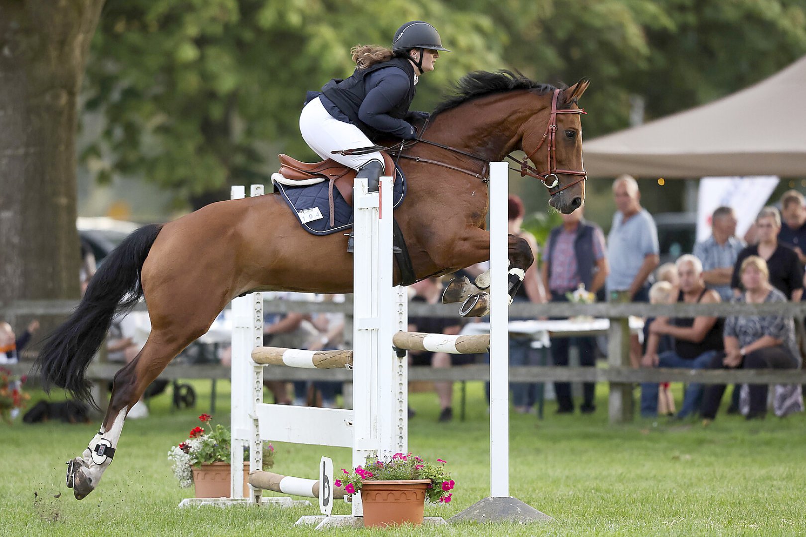 Reiten bei der Filsumer Nacht - Bild 16