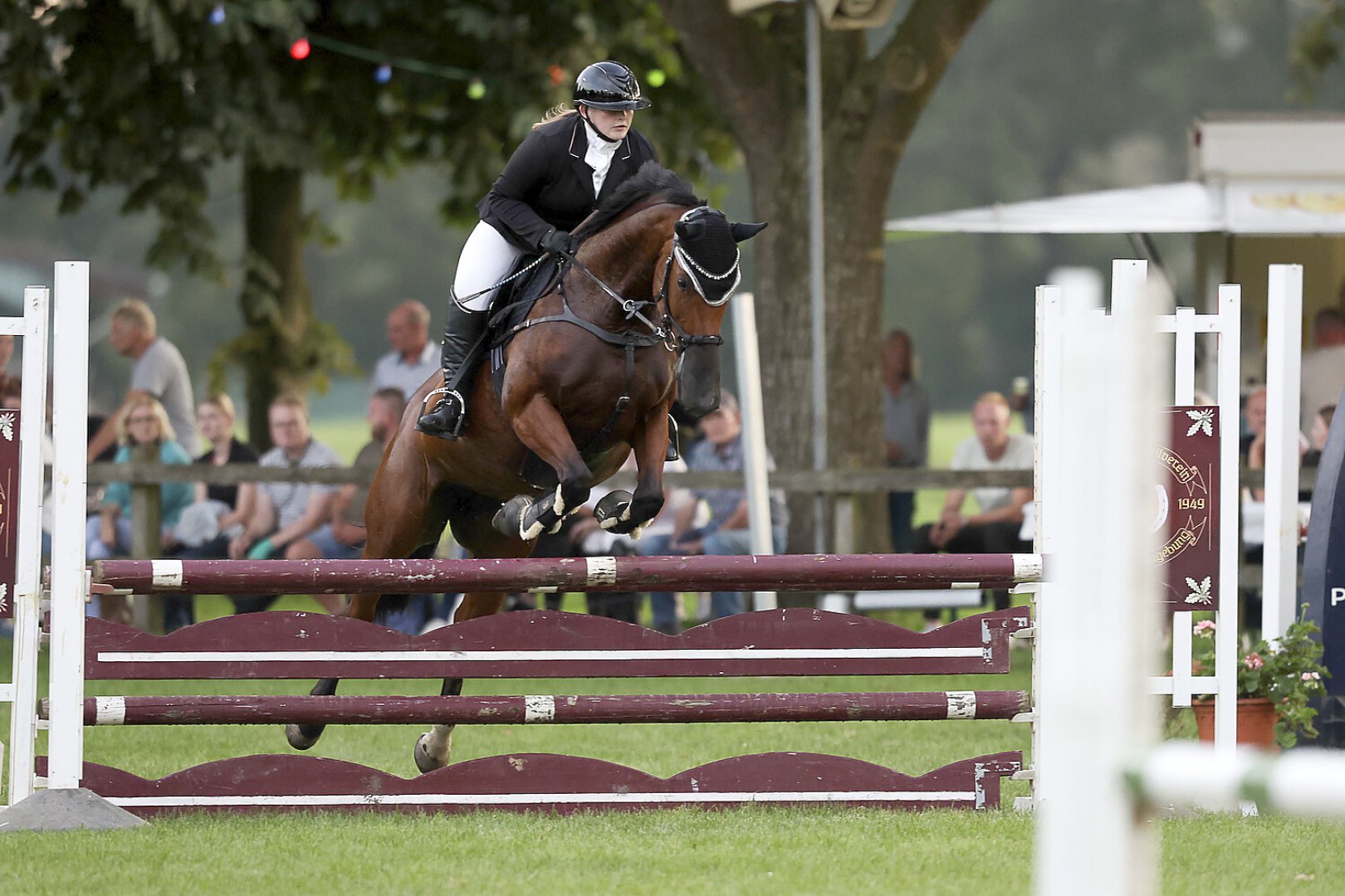 Reiten bei der Filsumer Nacht - Bild 17