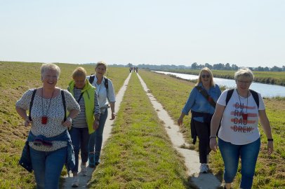 450 Personen nahmen an Weinwanderung teil - Bild 33