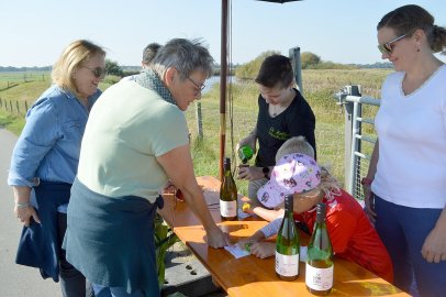 450 Personen nahmen an Weinwanderung teil - Bild 40