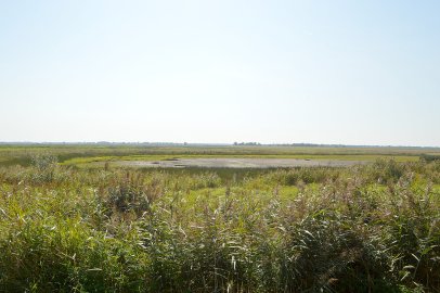 450 Personen nahmen an Weinwanderung teil - Bild 41