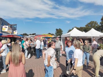 Die schönsten Fotos vom Hollandmarkt und Flohmarkt - Bild 28