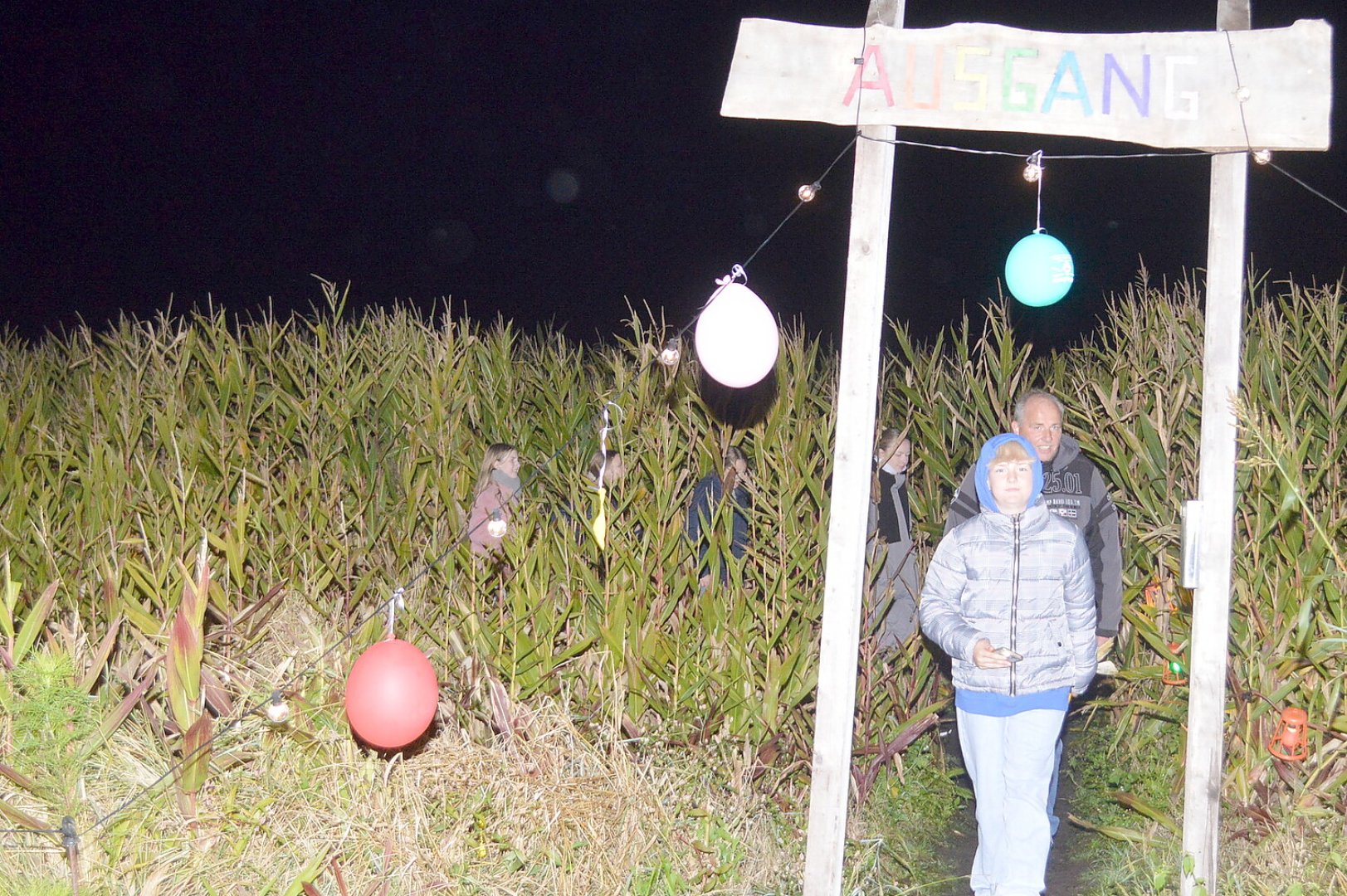 Farbenprächtige Illumination im Maisfeld - Bild 1