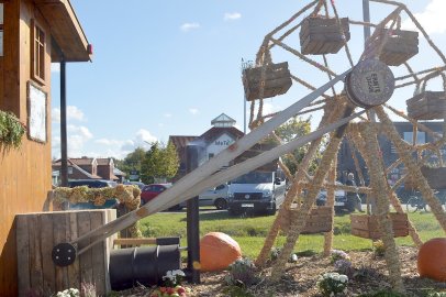 79 Wagen bei Ernteumzug in Völlenerkönigsfehn - Bild 43