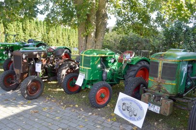 Herbstmarkt mit Dreschfest bei der Mühle - Bild 3