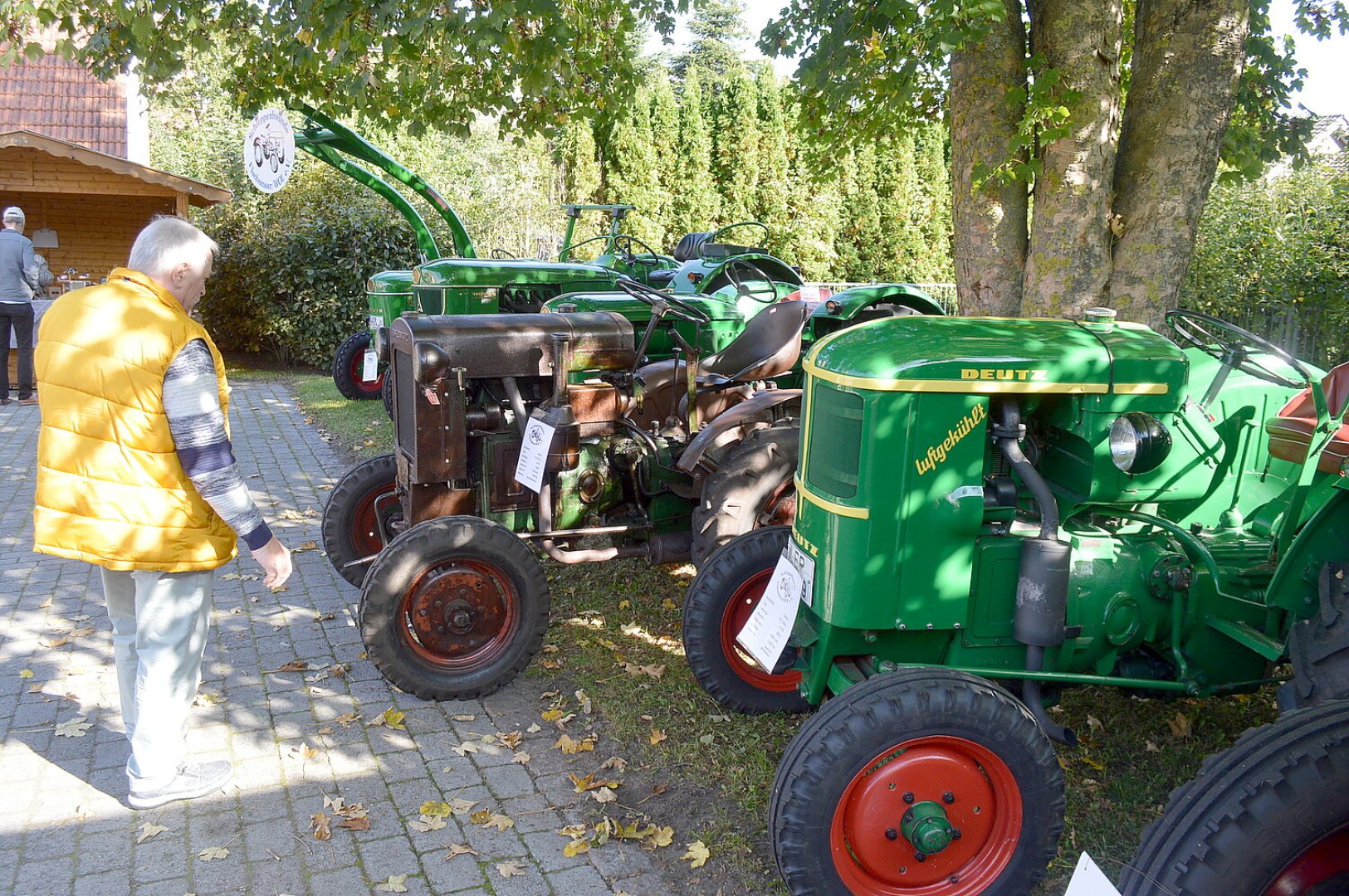 Herbstmarkt mit Dreschfest bei der Mühle - Bild 4