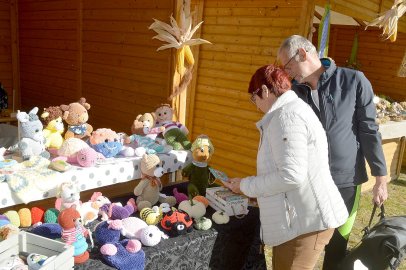 Herbstmarkt mit Dreschfest bei der Mühle - Bild 30